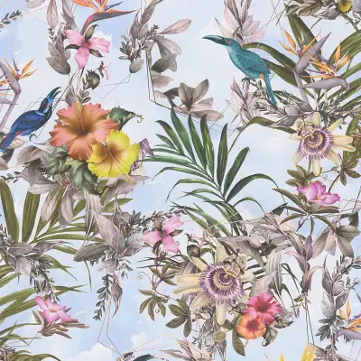 AS Creation by Brewster