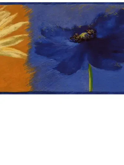 Border Resource 2 Collection by Brewster