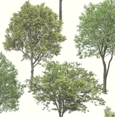 Brewster Essentials by Brewster