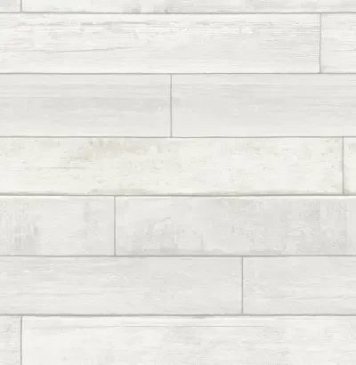 Brewster Kids by Brewster