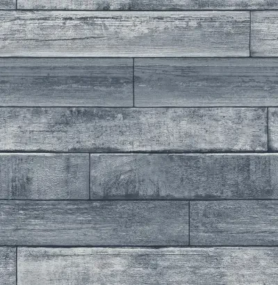 Brewster Kids by Brewster