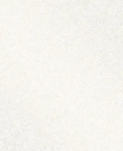 Essence by Decorline and Brewster