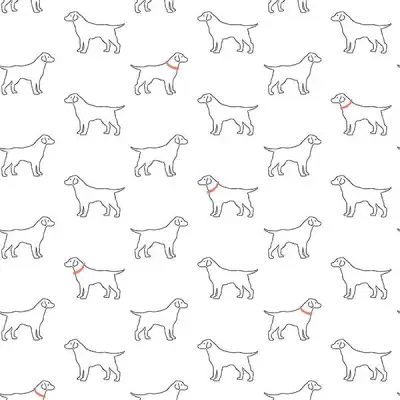 Flora and Fauna by Chesapeake and Brewster