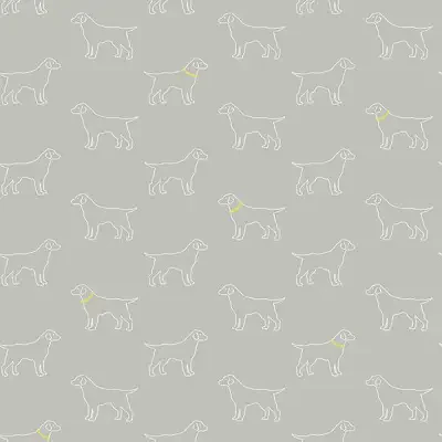 Flora and Fauna by Chesapeake and Brewster