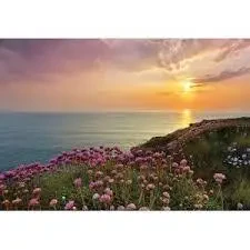 Flowers and Textures by Komar Murals