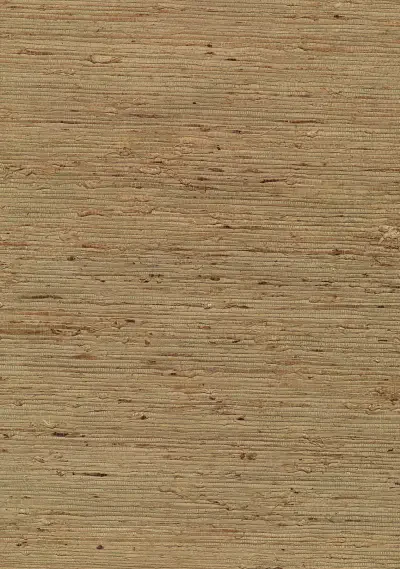 Grasscloth Portfolio by Advantage and Brewster