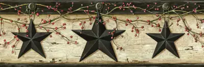 Ennis Charcoal Rustic Barn Star Border