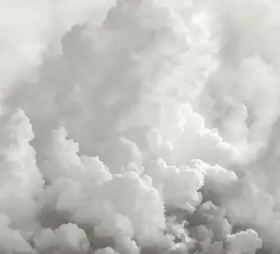 In the Clouds Dove Grey Wall Mural