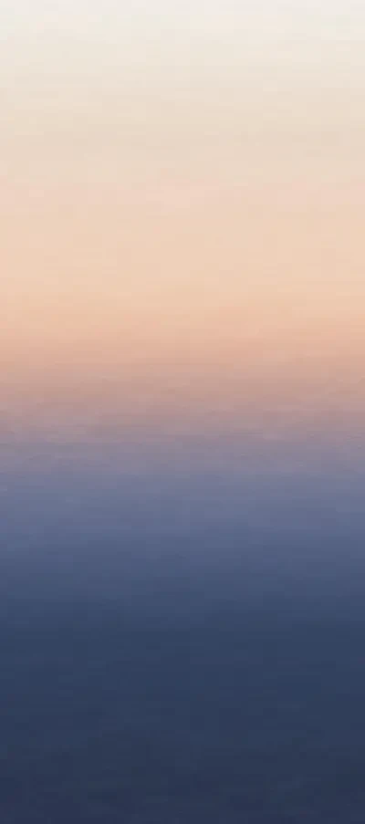 REMIX Wall Murals by Katie Hunt x A Street Prints and Brewster