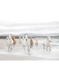 Scenic Editions II by Komar Murals