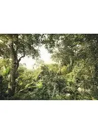 Scenic Editions II by Komar Murals