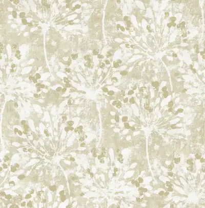 Splash by Advantage and Brewster