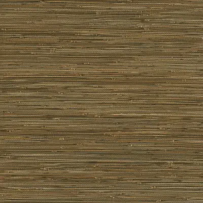 Twine by A Street Prints and Brewster