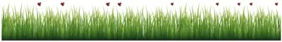 Grass and Ladybugs Border Decal
