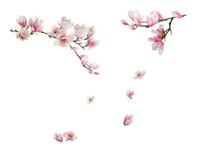 Magnolia Window Decals