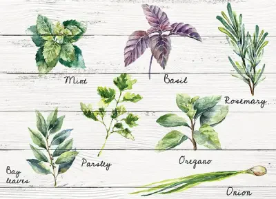 Shabby Spices Kitchen Panel