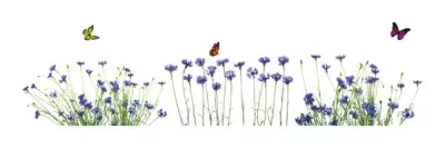 Spring Window Decals