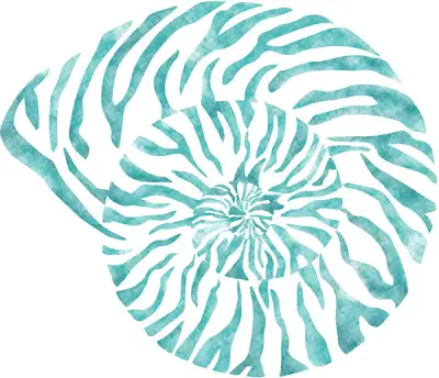 Nautilus Shell Wall Art Kit