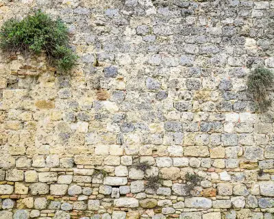 Stone Wall Mural