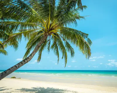 Paradise Beach Wall Mural