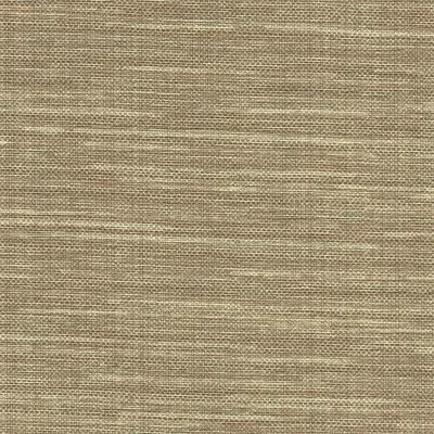 Warner Textures VII Grasscloth Resource by Brewster