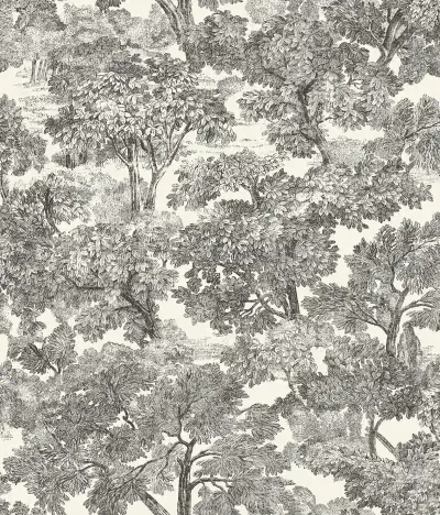 Spinney Black Toile Wallpaper