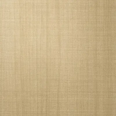 Source One Exclusive Muir by Eykon