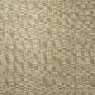 Source One Exclusive Muir by Eykon