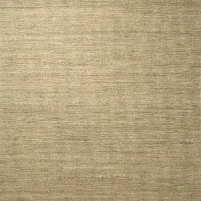 Source One Exclusive Tulle by Eykon