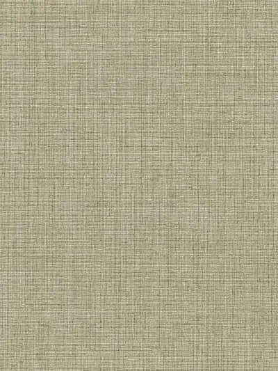 In Demand 3 by MDC Wallcovering