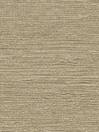 In Demand 3 by MDC Wallcovering