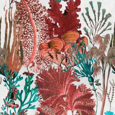 CORAL REEF Red, White, Blue