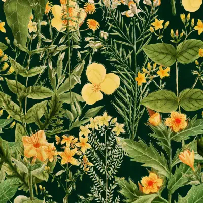 MIMULUS Anthracite Green, Yellow