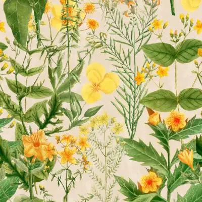 MIMULUS Green, Yellow, Taupe