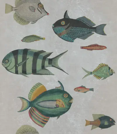 Poissons Grey