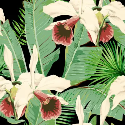 TREASURE ISLAND Anthracite Green, Black, White, Red