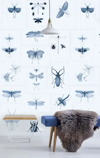 Entomology Blue  
