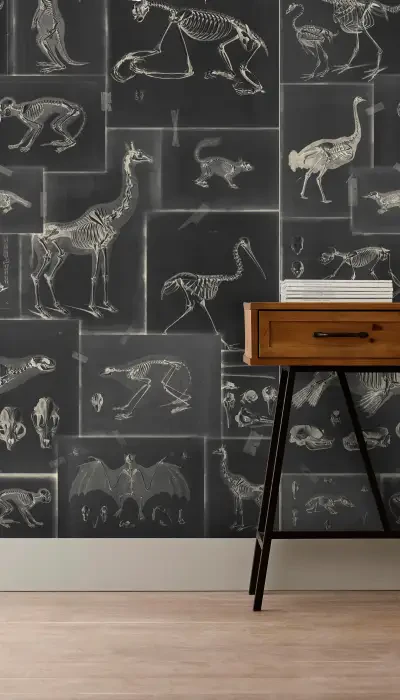 Zooarchaeology Anthracite  