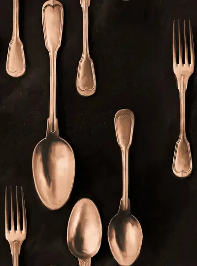Cutlery Copper  