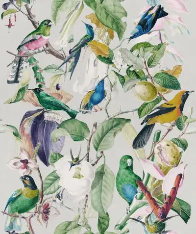 Tropical Birds  