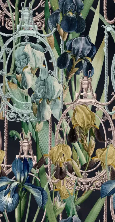 FLEURS D'IRIS Anthracite