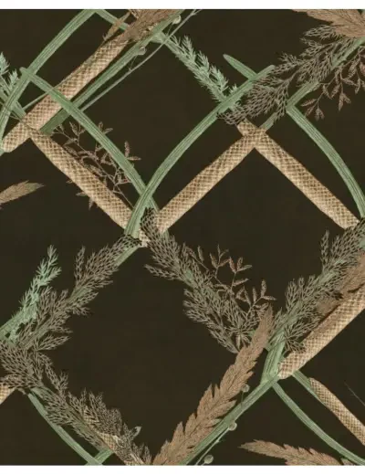 Ornamental Reed Anthracite