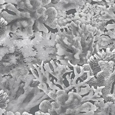 Farmhouse Living by Norwall