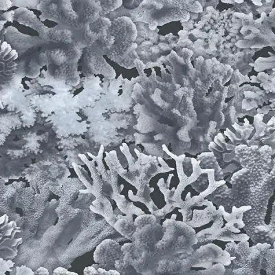 Farmhouse Living by Norwall