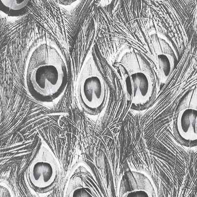 Manor House by Norwall