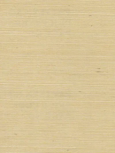 Mi Way Fine Grasscloth 1 by Sancar