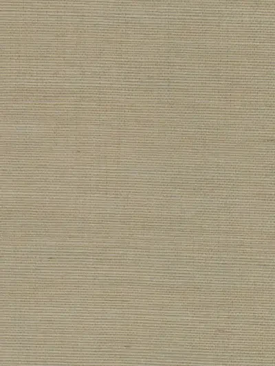 Mi Way Fine Grasscloth 1 by Sancar