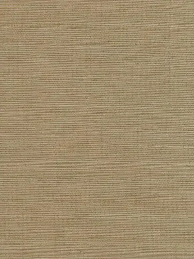 Mi Way Fine Grasscloth 1 by Sancar