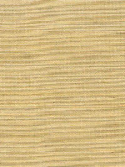 Mi Way Fine Grasscloth 1 by Sancar