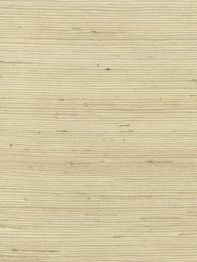 Mi Way Fine Grasscloth 1 by Sancar